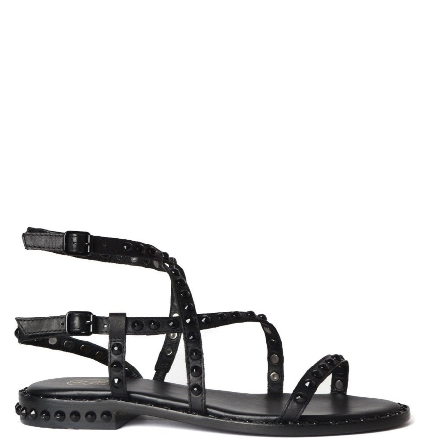 Hot ASH Petra Bis Sandal Black/Black Studs