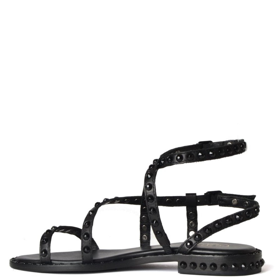 Hot ASH Petra Bis Sandal Black/Black Studs